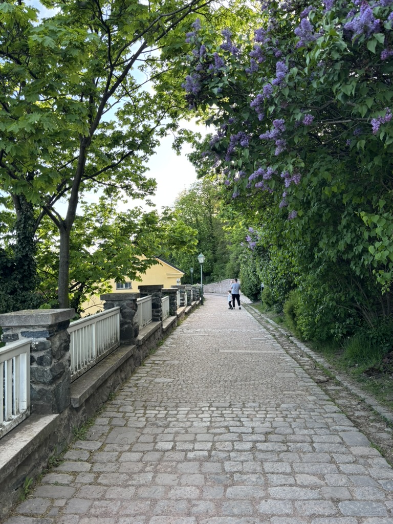 Výlet na Špilberk